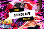 Code Shindo Life